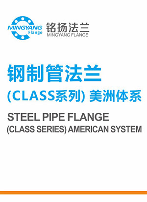 钢制管法兰（CLASS系列）美洲体系