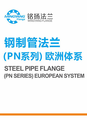 钢制管法兰（PN系列）欧洲体系